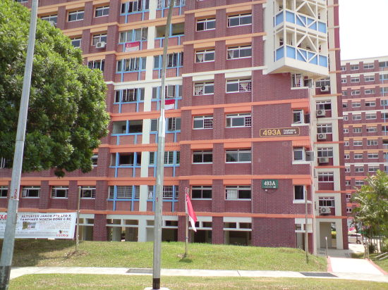 Tampines Avenue 9 thumbnail photo